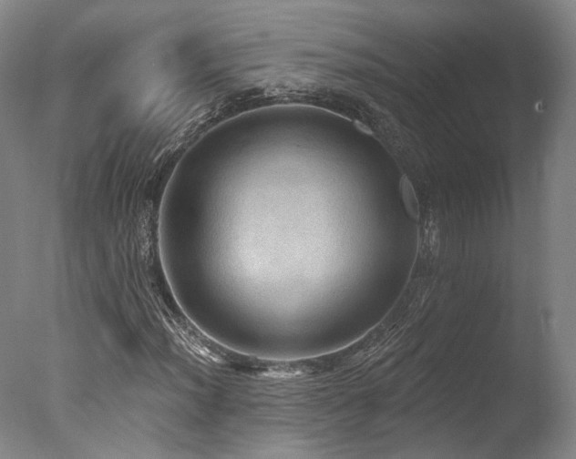 X0000078011012200610271202