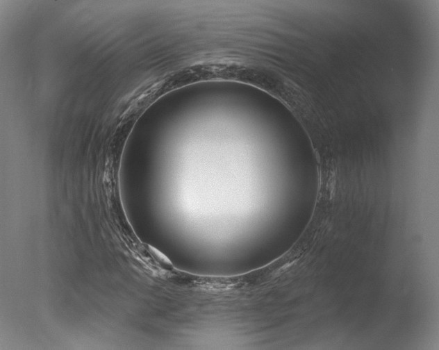 X0000078011014200610271202