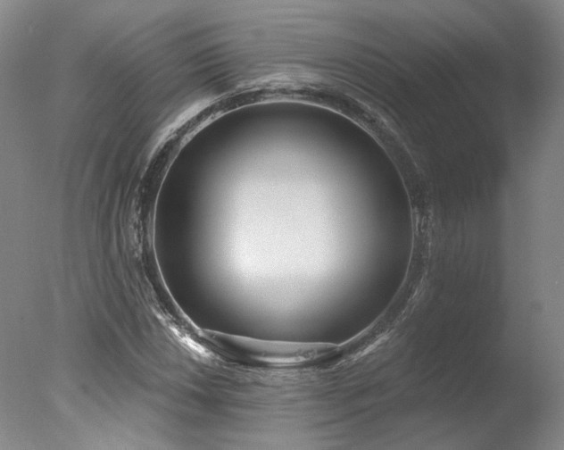 X0000078011018200610271202