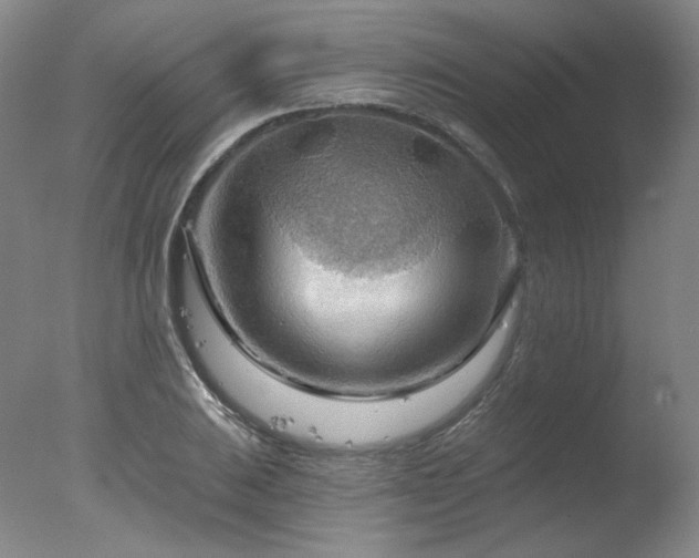 X0000078011031200610271202