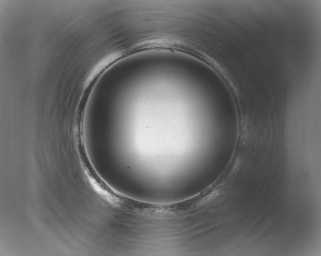X0000078011042200610271202