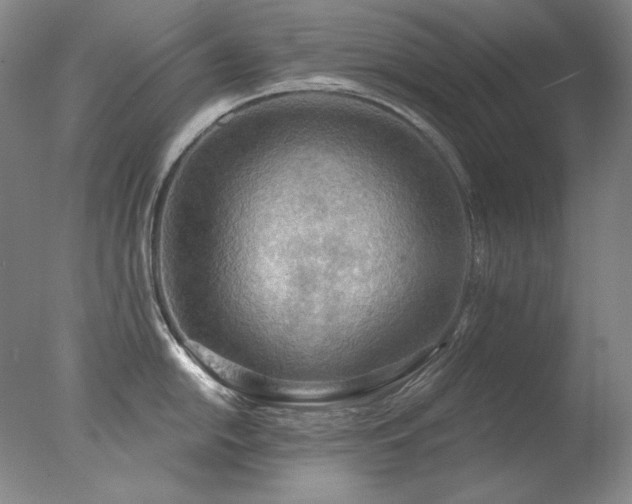 X0000078011054200610271203