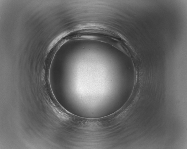 X0000078011066200610271202