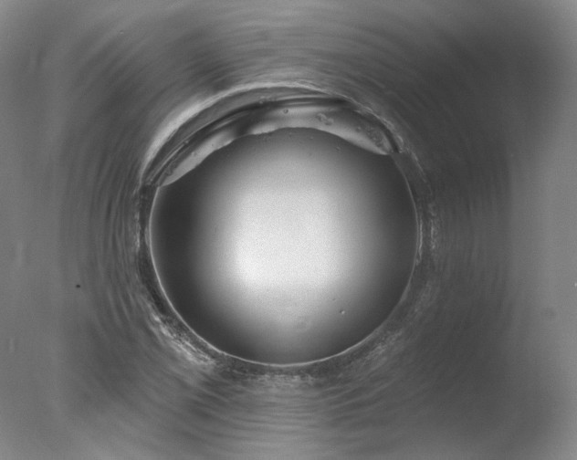X0000078011069200610271202