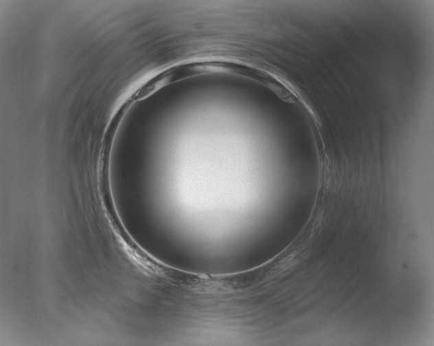 X0000078011101200610271201