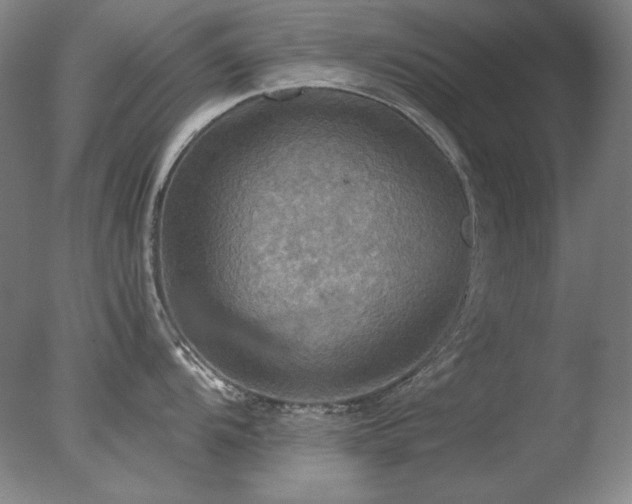 X0000078011104200610271201