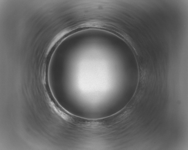 X0000078011131200610271201