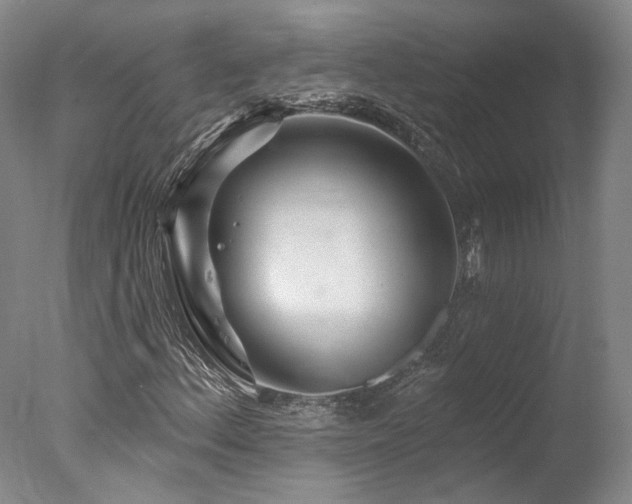 X0000078011156200610271200
