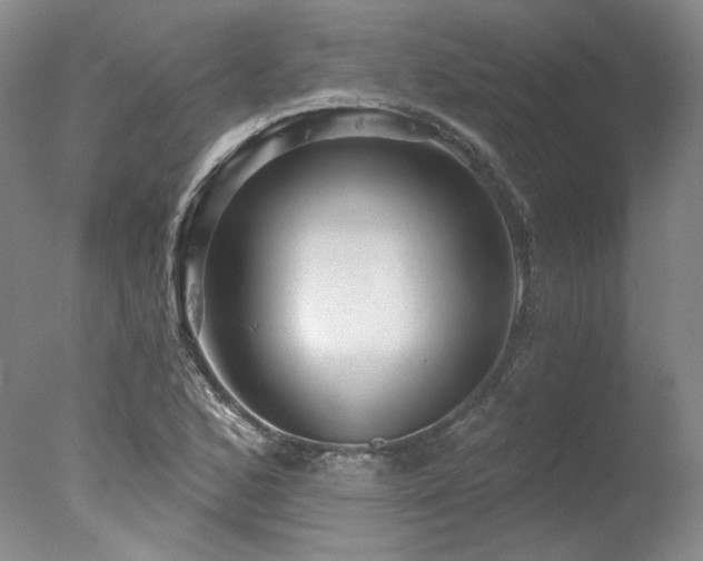 X0000078011168200610271200
