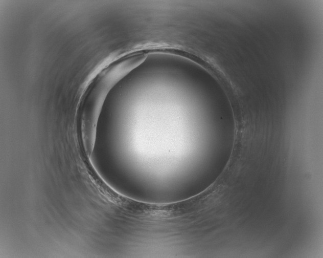 X0000078011173200610271200