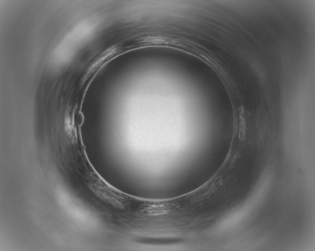 X0000078011198200610271159