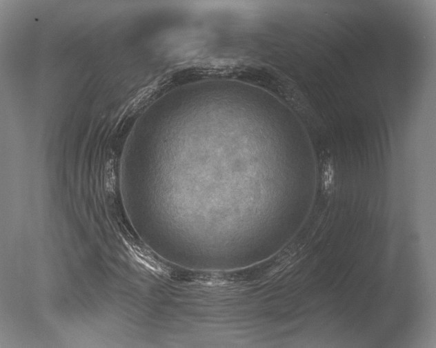 X0000078011204200610271159