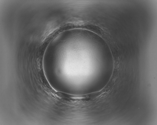 X0000078011205200610271159