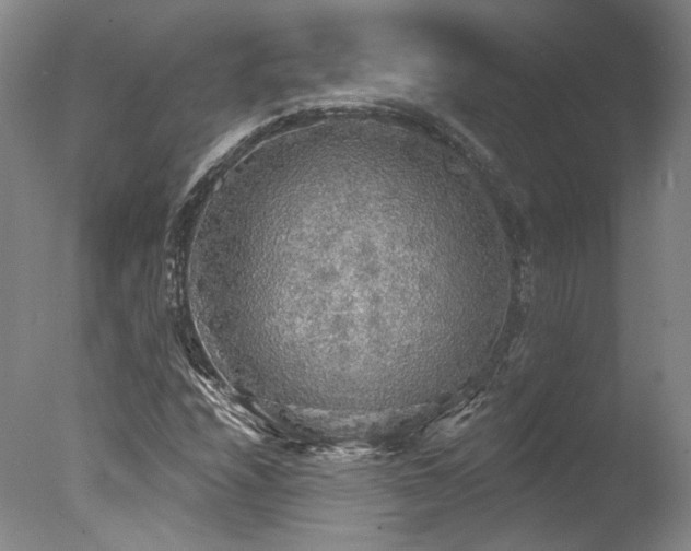 X0000078011208200610271159