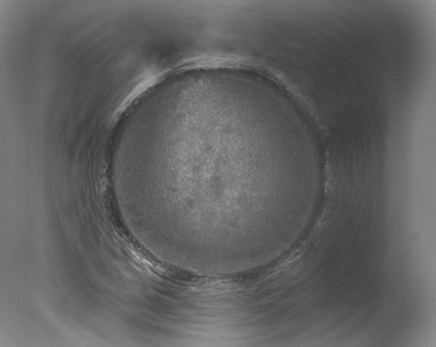 X0000078011213200610271159