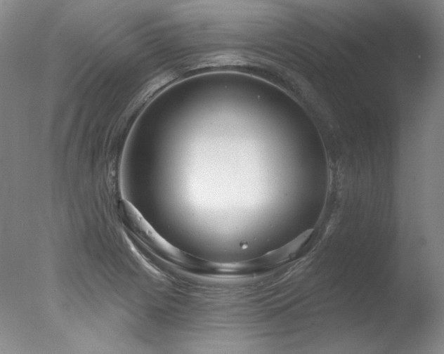 X0000078011225200610271159