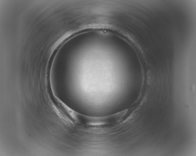 X0000078011229200610271159