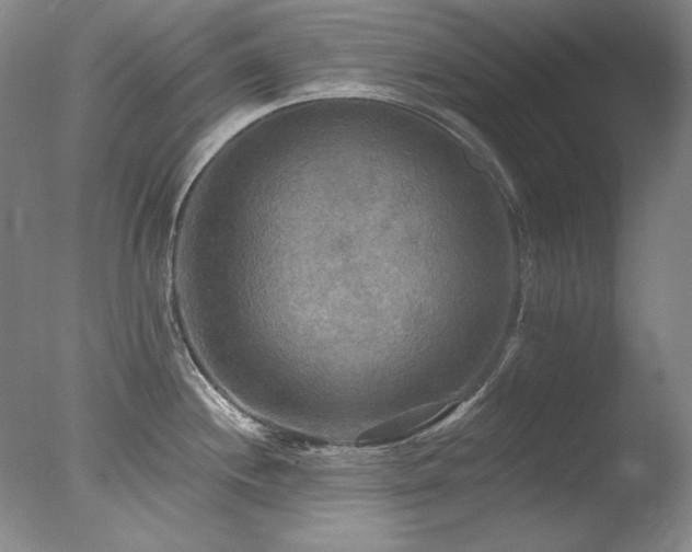 X0000078011244200610271159