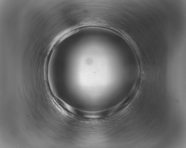 X0000078011246200610271159