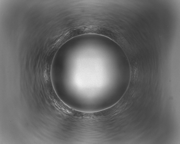 X0000078011250200610271159