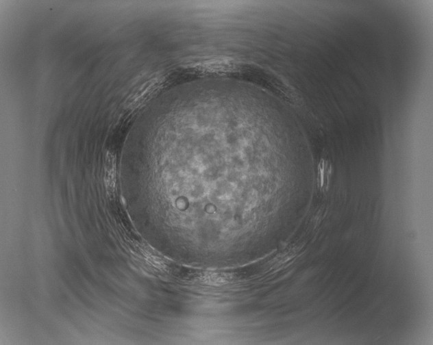 X0000078011251200610271159