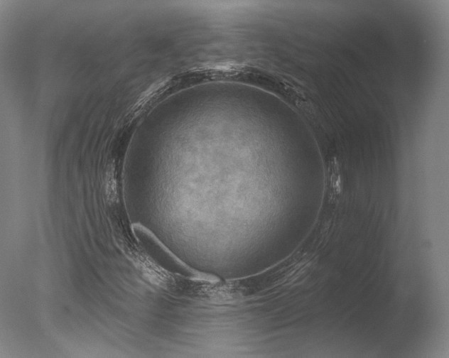 X0000078011252200610271159