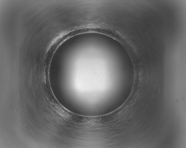 X0000078011262200610271158