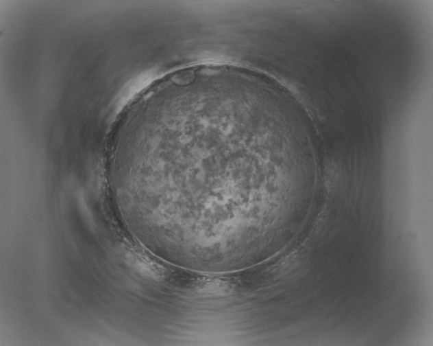 X0000078011263200610271158