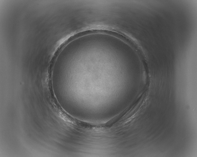 X0000078011264200610271158