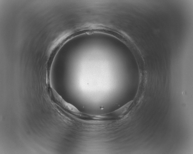 X0000078011269200610271158