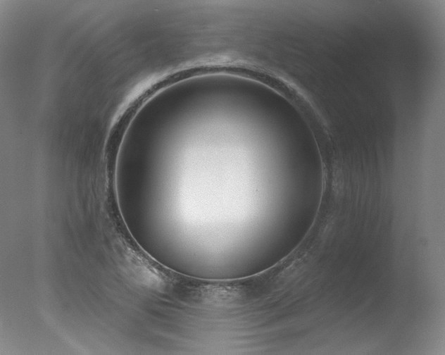 X0000078011270200610271158