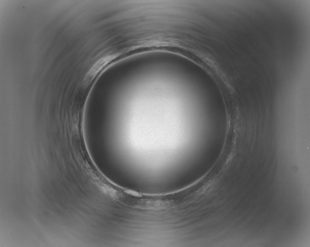 X0000078011273200610271158