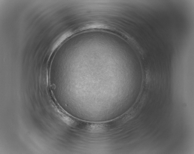 X0000078011274200610271158