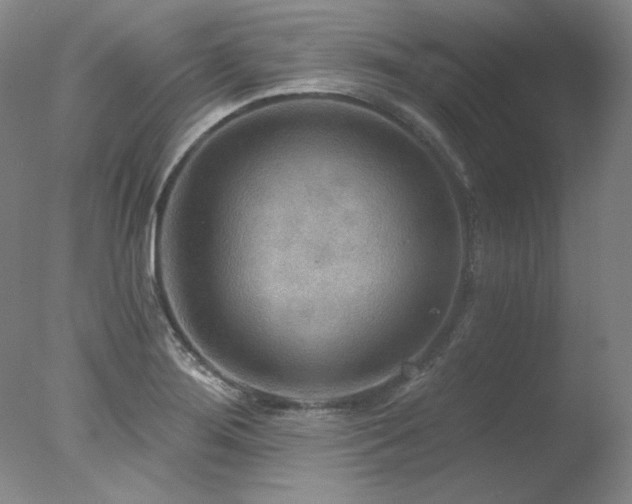 X0000078011276200610271158