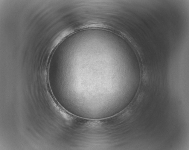 X0000078011282200610271158