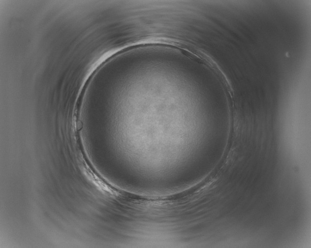 X0000078011292200610271158