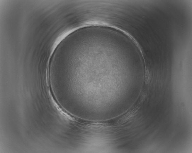 X0000078011295200610271158