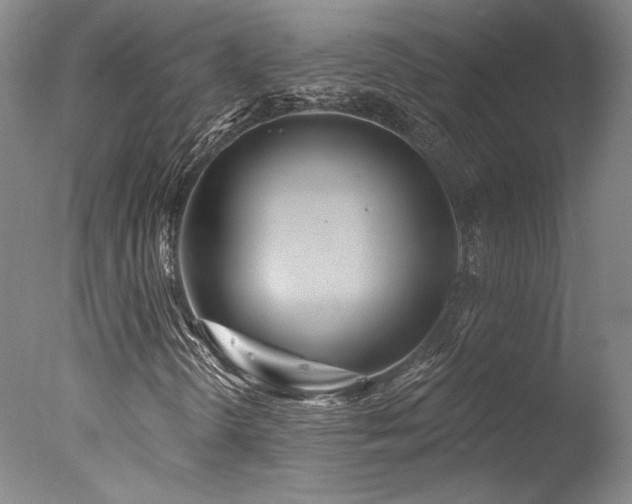 X0000078011298200610271157