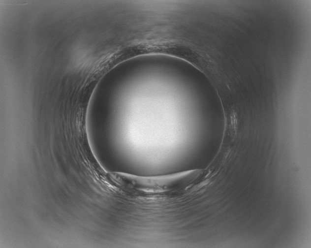X0000078011300200610271157