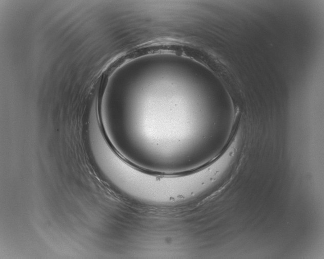 X0000078011313200610271157