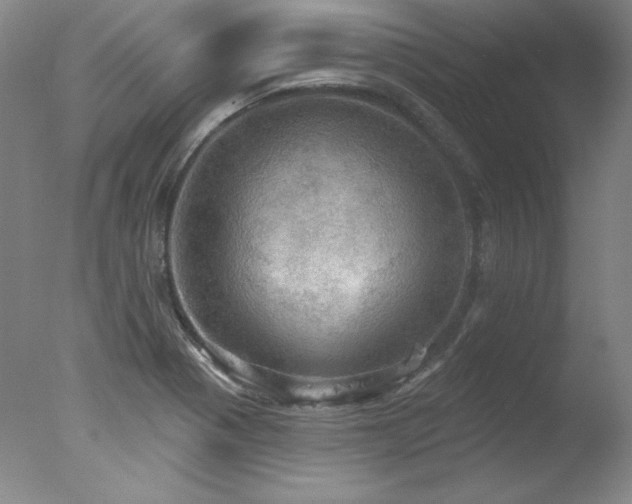 X0000078011321200610271157