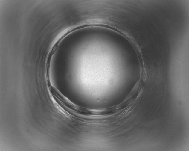 X0000078011342200610271158