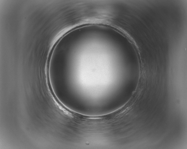 X0000078011343200610271158