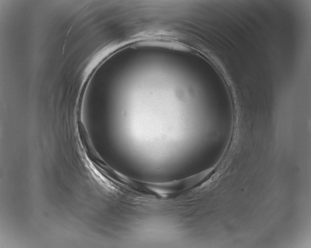 X0000078011344200610271158