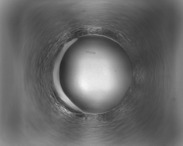 X0000078011345200610271157