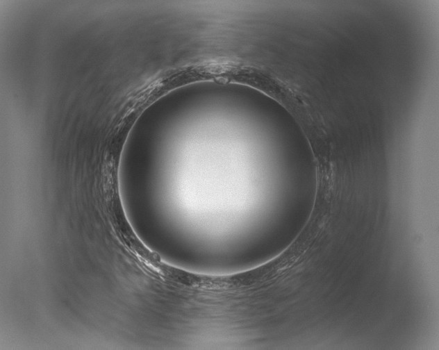 X0000078011349200610271157