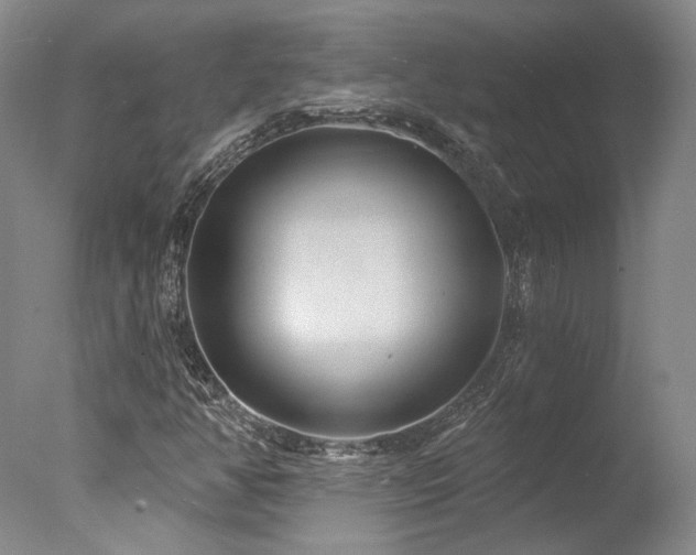 X0000078011350200610271157