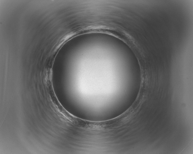 X0000078011361200610271157