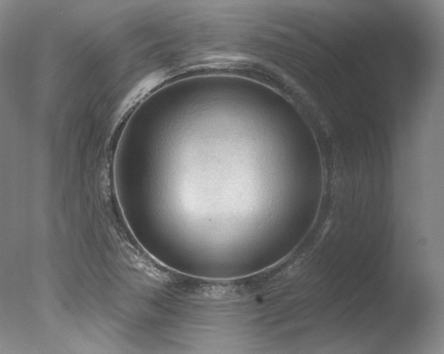 X0000078011362200610271157