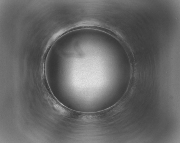 X0000078011366200610271157